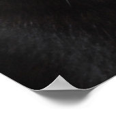 Black Cat Portrait Poster (Hoek)