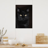 Black Cat Portrait Poster (Keuken)