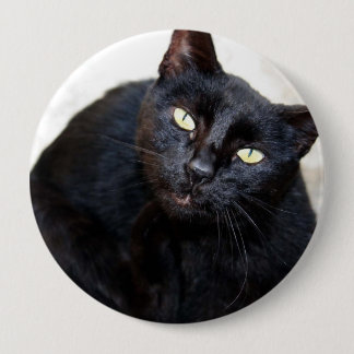 Black Cat Portrait Ronde Button 4,0 Cm