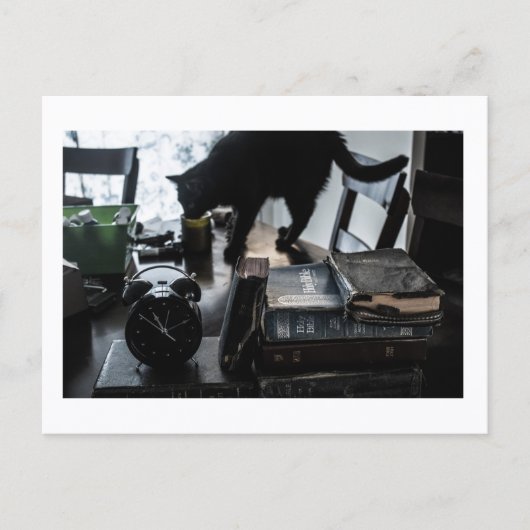 Black Cat Postcard Print by JH Thornton Briefkaart (Voorkant)