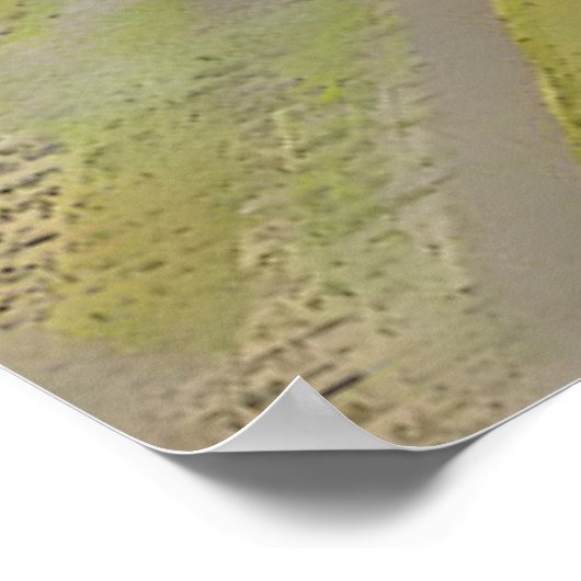 Black Cat Print Van Gogh still Life (Hoek)