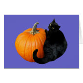 Black Cat Pumpkin (Voorkant Horizontaal)