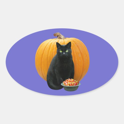 Black Cat Pumpkin Ovale Sticker (Voorkant)