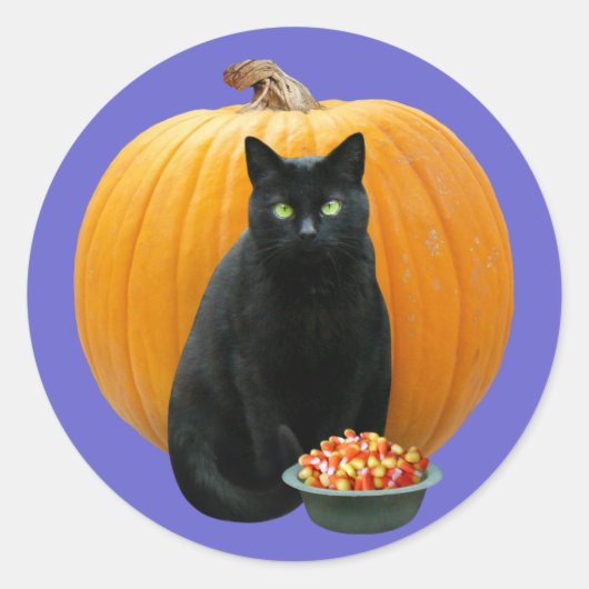 Black Cat Pumpkin Ronde Sticker (Voorkant)