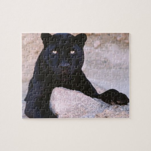 Black Cat Puzzle Legpuzzel (Horizontaal)