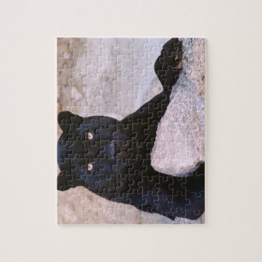 Black Cat Puzzle Legpuzzel (Verticaal)