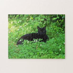 Black Cat Puzzle Legpuzzel
