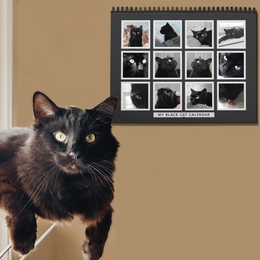 Black Cat Retro Afbeelding Lijst Pet Photo Calenda Kalender