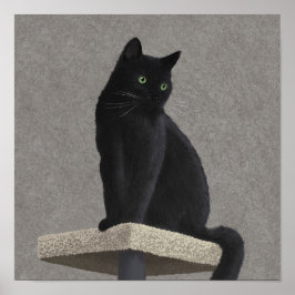 Black Cat Royalty Poster