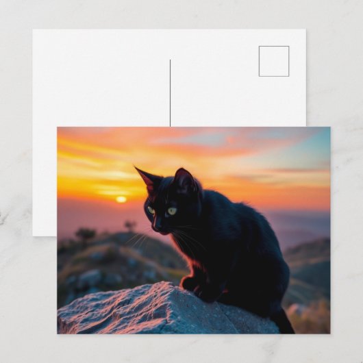 Black Cat Silhouette at Sunset Postcard Briefkaart (Voorkant / Achterkant)
