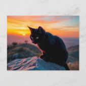 Black Cat Silhouette at Sunset Postcard Briefkaart (Voorkant)