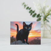 Black Cat Silhouette at Sunset Postcard Briefkaart (Staand voorkant)