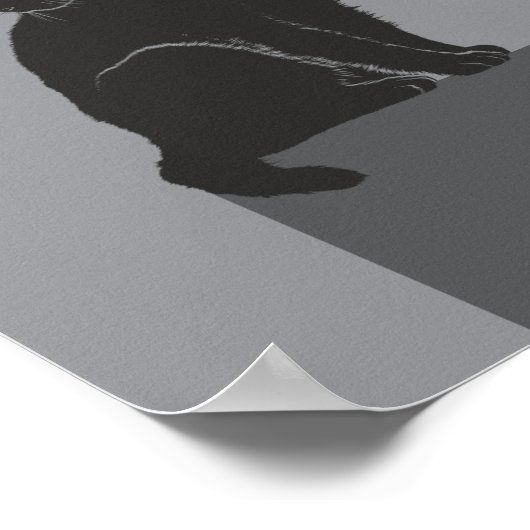 black cat sit on table poster (Hoek)