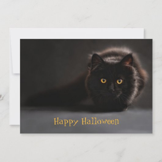  Black Cat Spooky Evil Halloween Party Kaart (Achterkant)