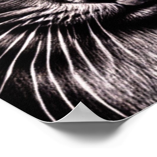 Black Cat Square Poster (Hoek)