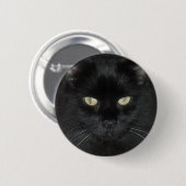 Black Cat Stare Ronde Button 5,7 Cm (Voorkant /achterkant)