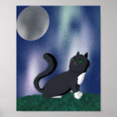 Black Cat Sterrennacht Painting Poster (Voorkant)