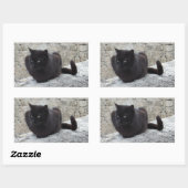 Black Cat stickers (Vel)