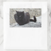 Black Cat stickers (Tas)