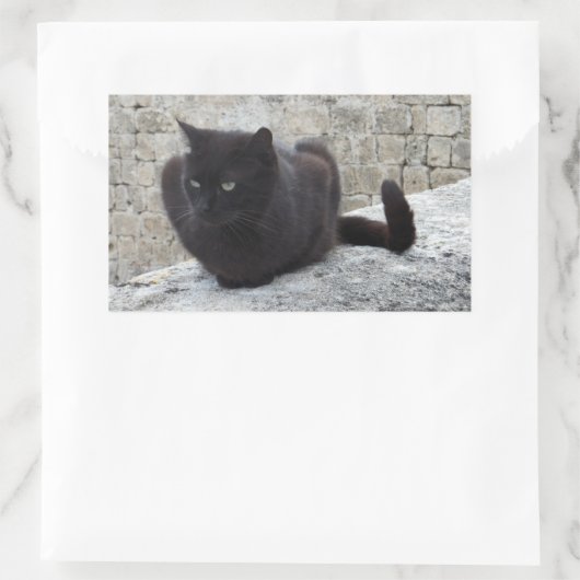 Black Cat stickers (Tas)