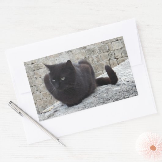 Black Cat stickers (Envelop)