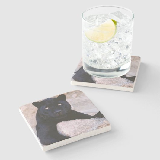 Black Cat Stone Onderzetter (Zijkant)