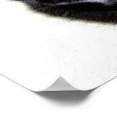 Black Cat Sumio Poster (Hoek)