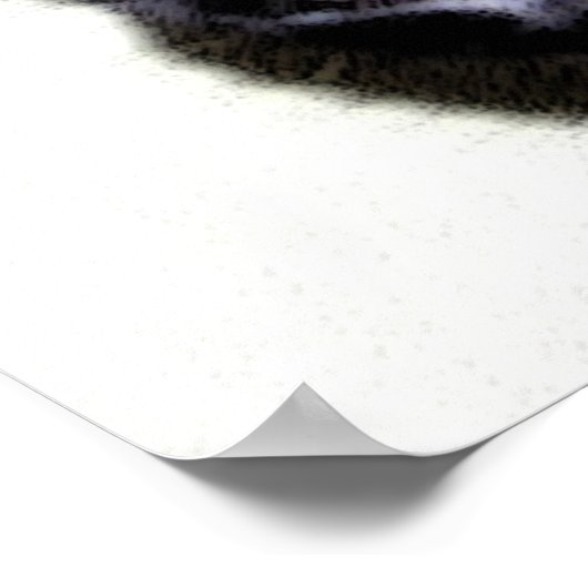 Black Cat Sumio Poster (Hoek)