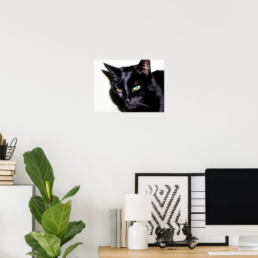 Black Cat Sumio Poster (Thuiskantoor)