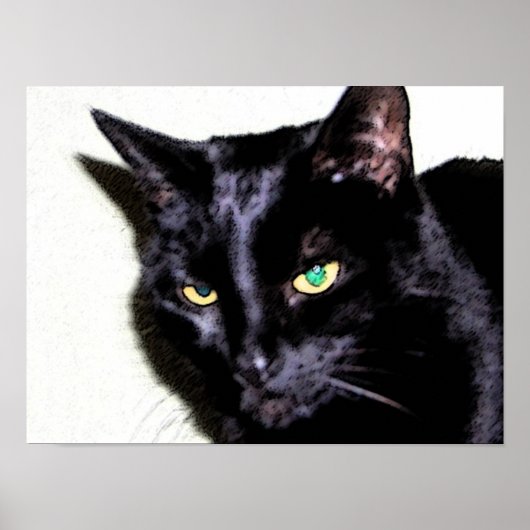 Black Cat Sumio Poster (Voorkant)