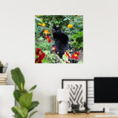 Black Cat Summer Garden Fotografie Poster (Thuiskantoor)
