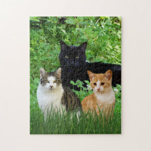 Black Cat Tabby Cat Fun Cats in tuin Legpuzzel
