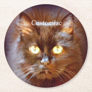Black Cat Thunder_Cove Ronde Kartonnen Onderzetter