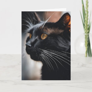 Black Cat Verjaardag Humor Kaart