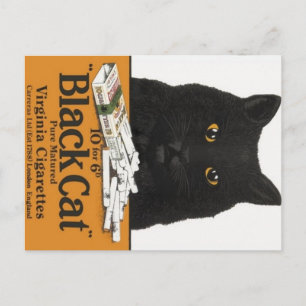 Black Cat Virginia Cigaretes Advert Briefkaart