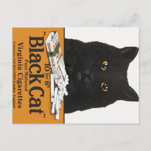 Black Cat Virginia Cigaretes Advert Briefkaart (Voorkant)