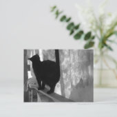 Black Cat Walks Away - briefkaart (Staand voorkant)