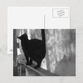 Black Cat Walks Away - briefkaart (Voorkant / Achterkant)