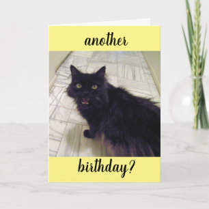 Black Cat Weer Birthday Wenskaart Kaart