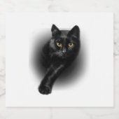 Black Cat Yellow Eyes Sparkling Wijnetiket (Enkel label)