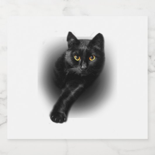 Black Cat Yellow Eyes Sparkling Wijnetiket (Enkel label)