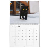 Black Cats Calendar Kalender (Feb 2027)