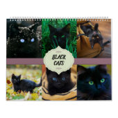 Black Cats Calendar Kalender (Hoes)