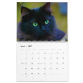 Black Cats Calendar Kalender (Mar 2027)
