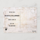 Black Cats Magical Halloween Briefkaart (Achterkant)
