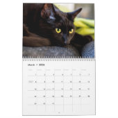 Black Cats Photo Wall Agenda Kalender (Mar 2026)