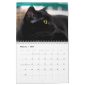 Black Cats Photo Wall Agenda Kalender (Feb 2027)