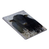 Black Cattle Bull Notitieboek (Rechterzijde)
