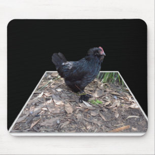 Black Chicken Pop Out,_ Muismat