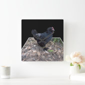 Black Chicken Pop Out_Square Wall Clock Vierkante Klok (Huis)